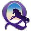 CircleQuest Logo Thumbnail